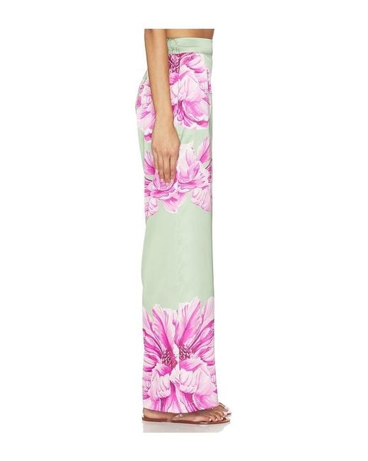 MISA Los Angles Multicolor Izzie Pant