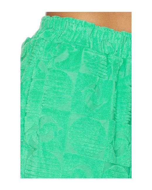 Araminta James Green Cruise Dolphin Terry Short