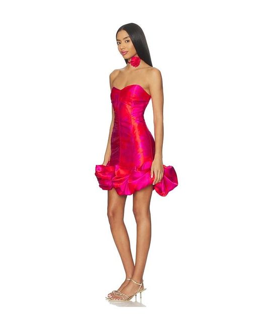 Elliatt Red Eloise Mini Dress