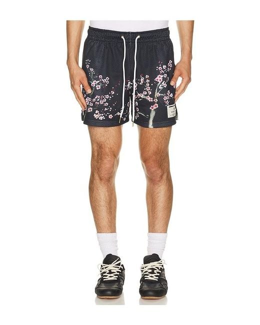 Ryoko Rain Blue Cherry Blossom Shorts for men