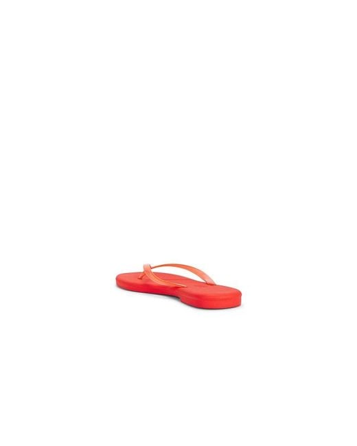 TKEES Red Aqua Flip Flops