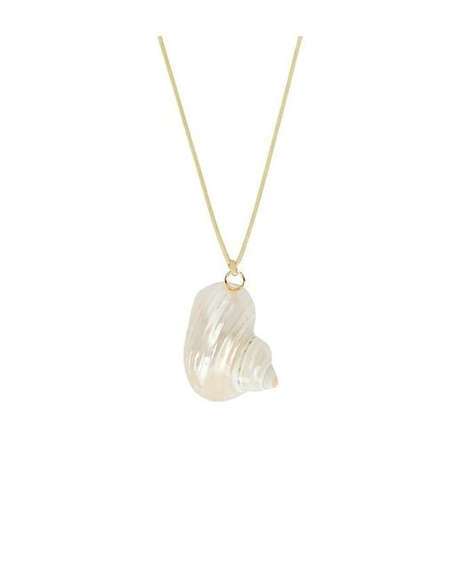 Anni Lu White Shell On A String Necklace