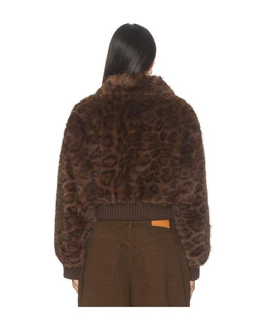 bubish Brown Blousons Hailey