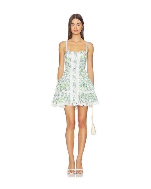 Astr Multicolor Skye Dress