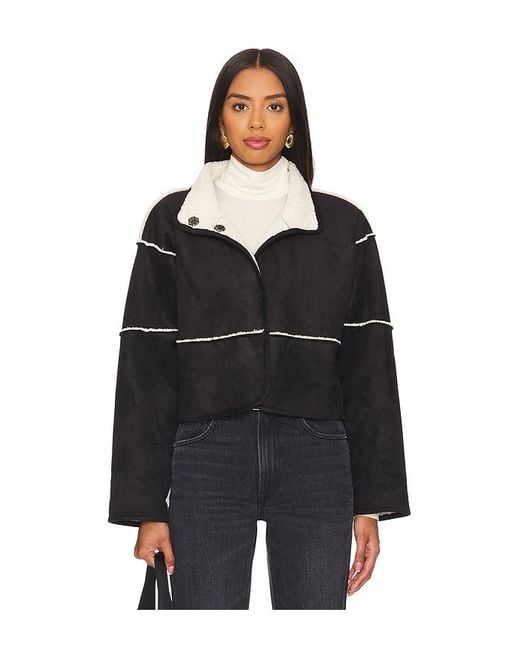 Velvet By Graham & Spencer Kelly テディコート Black