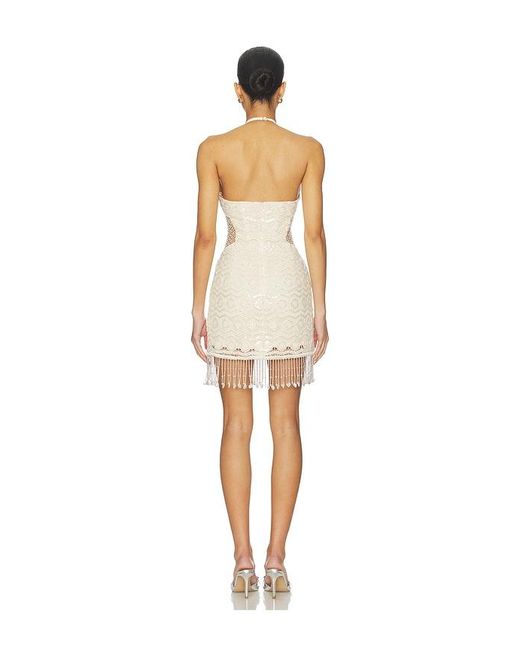 PATBO White Crochet Bloom Halterneck Mini Dress