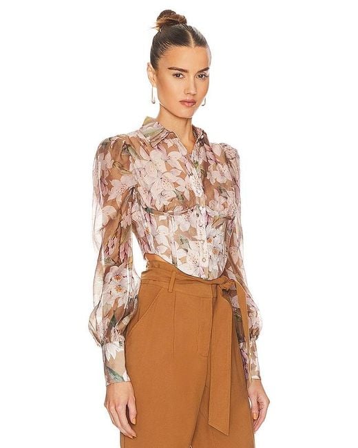 Bardot Brown Valentina Corset Top