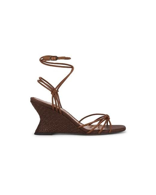 Sam Edelman Multicolor Daxton Sandal