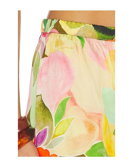 Amanda Uprichard Multicolor Mariko Shorts