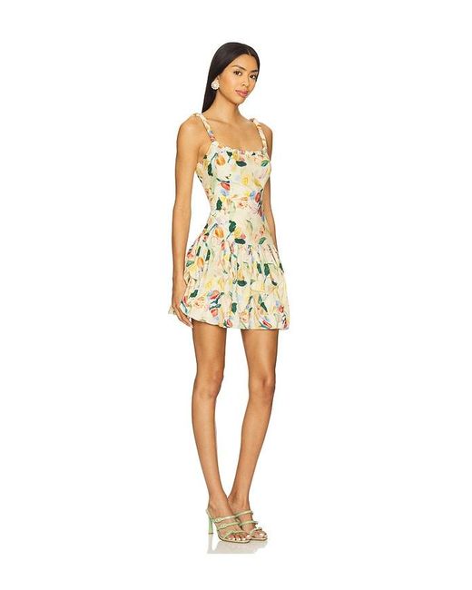 Astr Multicolor Keyla Dress