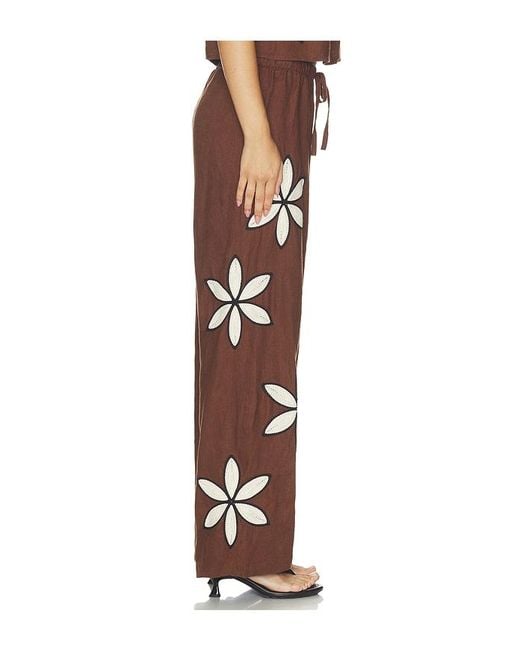 Rails Brown Emmie Pant