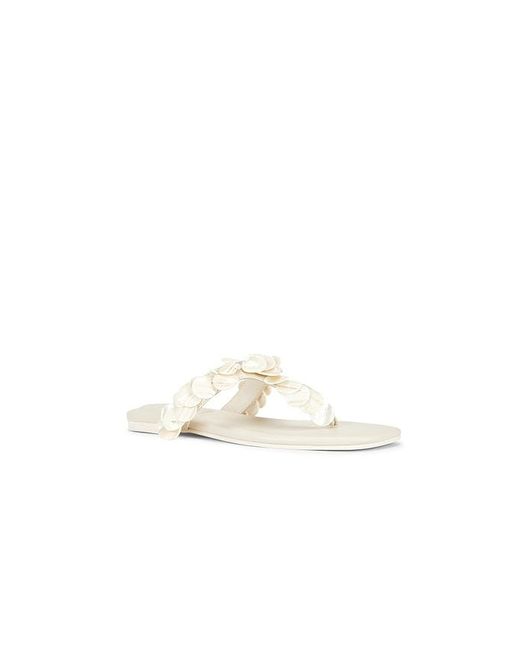 Jonathan Simkhai White Elin Natural Shell Beaded Thong Sandal