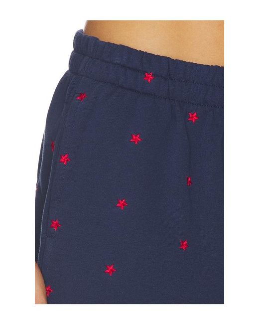 Beach Riot Blue Malik Short