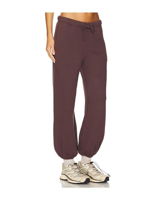NSF Purple Shane Drawstring Jogger