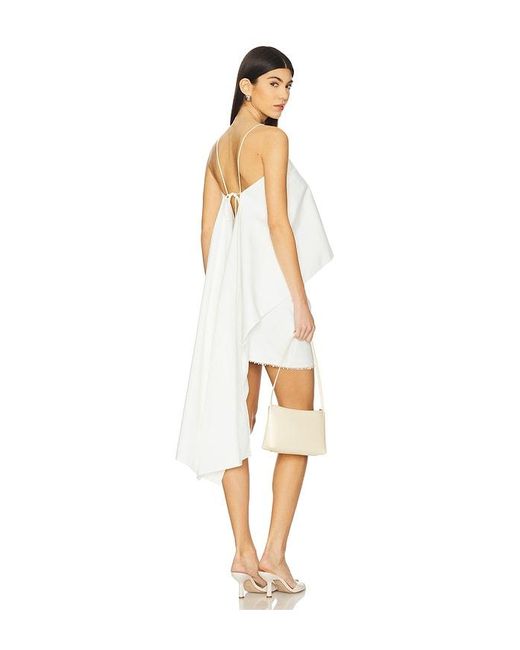 Line & Dot Fable トップ White