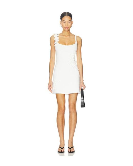 AMUR Women's White Deedra Floral Knit Midi Dress