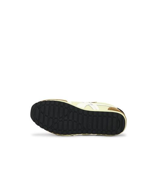 Tory Burch Multicolor Hank Field Sneaker
