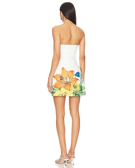 Runaway the Label Multicolor Primrose Dress