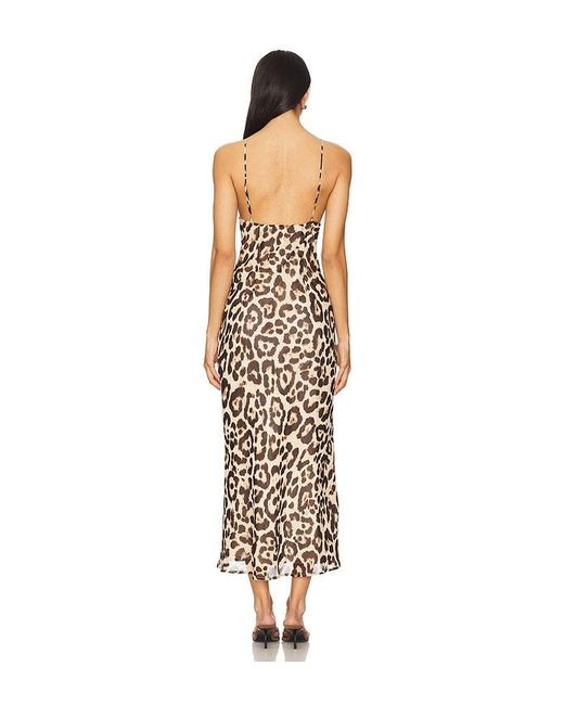 Nia White Jasmine Dress