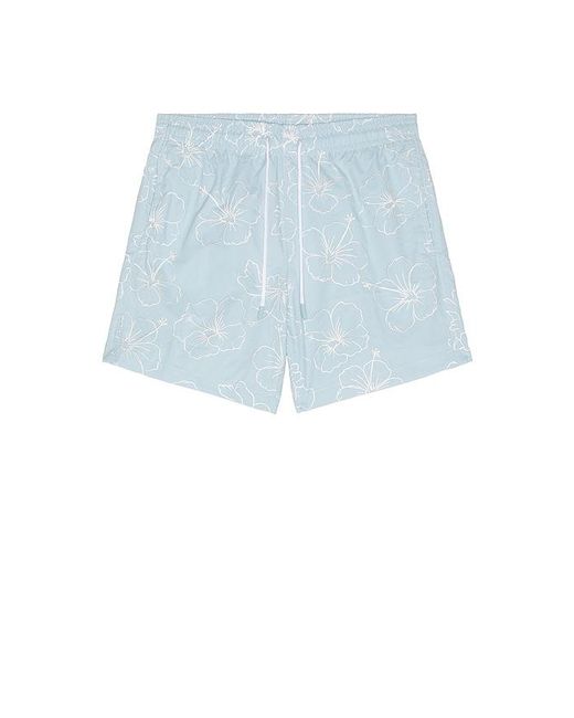 Trunks Surf & Swim Blue Sano 6.5 Swim Short for men