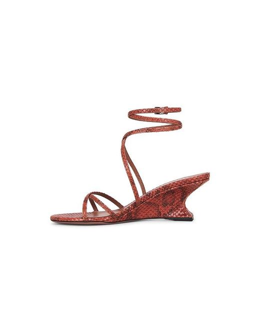 Paris Texas Multicolor Nina Lace Up Sandal 50