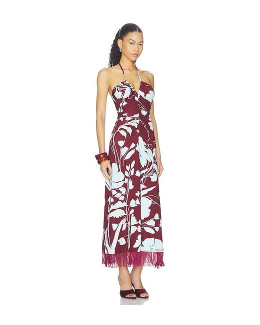 Cara Cara White Shelter Island Maxi Dress