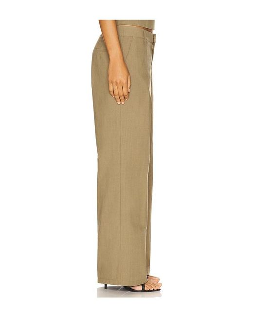 Lioness Natural Hose Elements