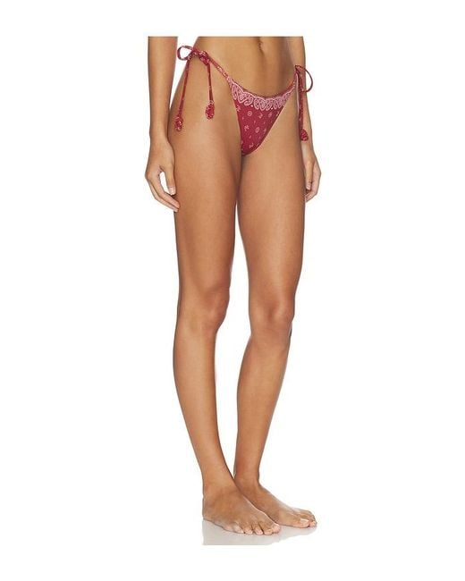 Devon Windsor Multicolor Eadie Bikini Bottom
