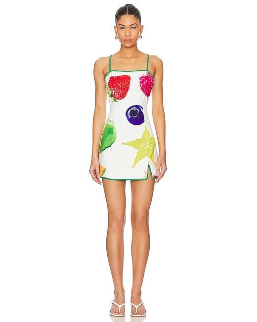 Tyler McGillivary Multicolor Fruit Basket Dress