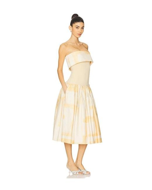Alexis White Robia Dress