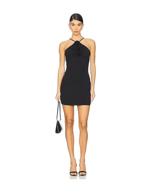 Likely Black Marianne Dress