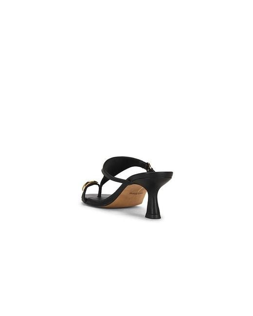 Dolce Vita Black Derrel Sandal