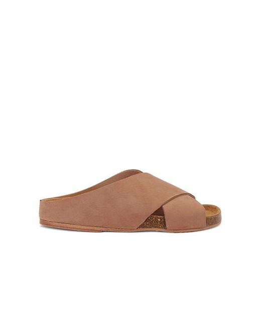 Alohas Brown Briar Sandal