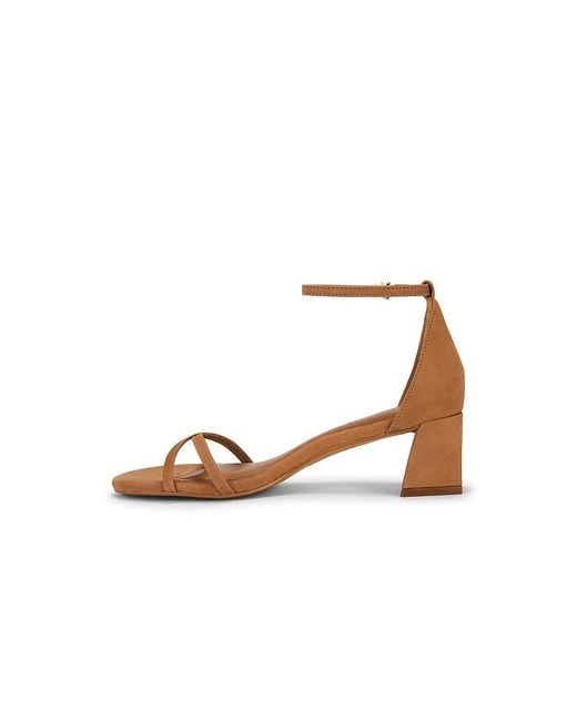 Steve Madden Multicolor Rae Sandal