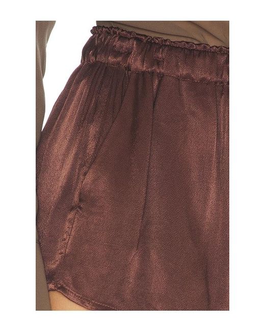 Lamarque Brown Melina Short
