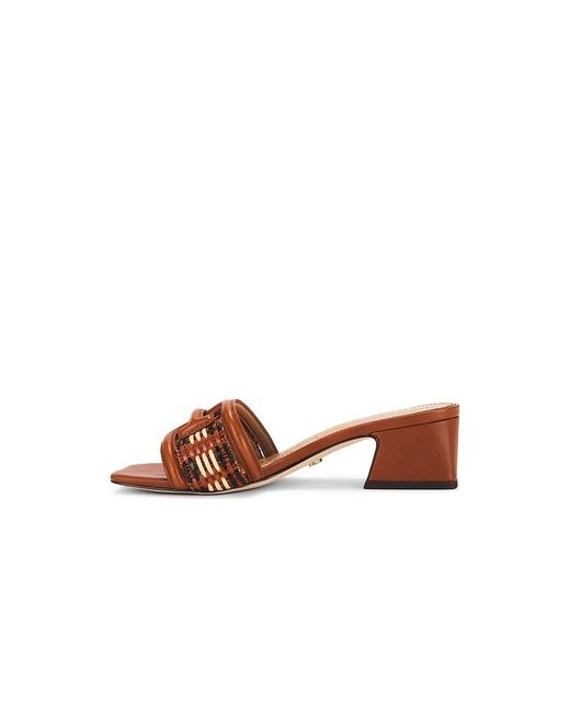 Sam Edelman Brown Waylon Sandal