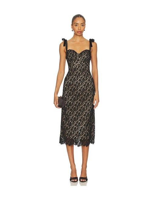 Astr Black Donne Dress
