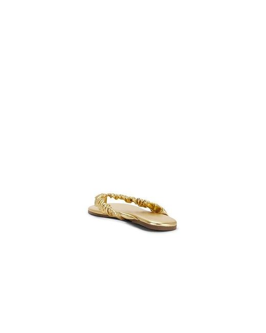TKEES Multicolor Savanna Sandal