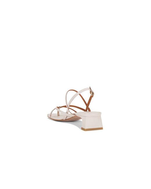 INTENTIONALLY ______ Natural Pup Sandal