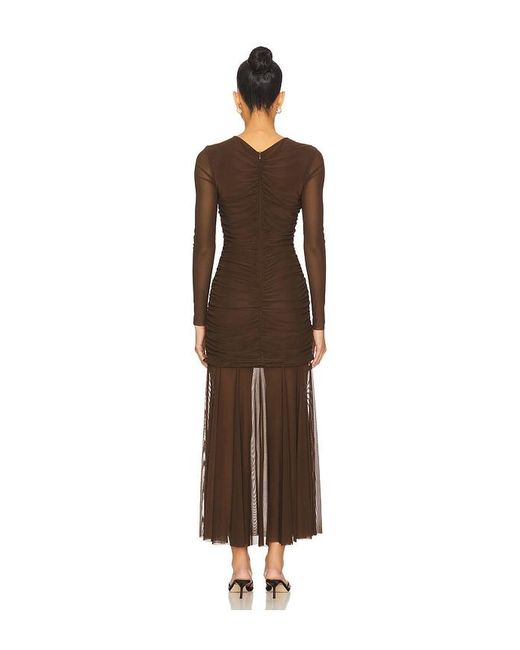 Steve Madden Brown Kiara Dress