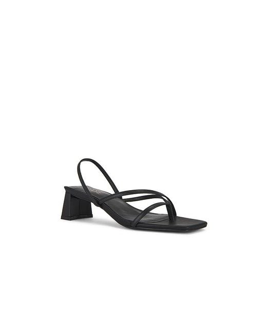 Raye White Porter Sandal