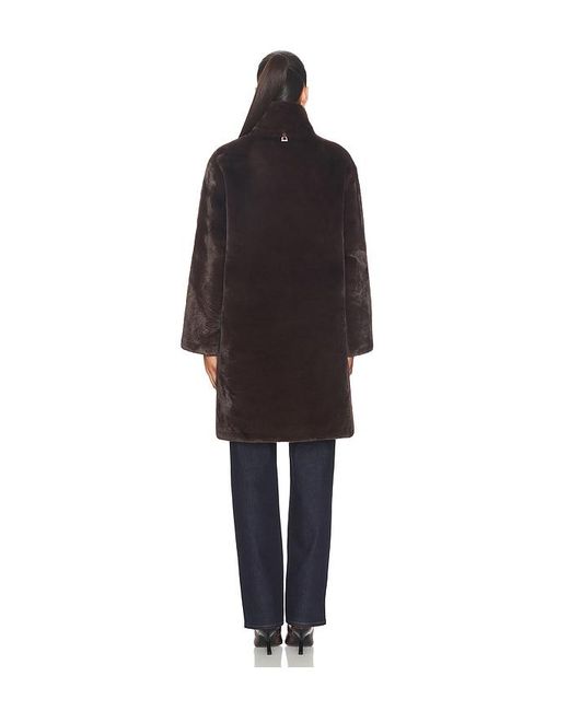 Apparis Black Blair Coat