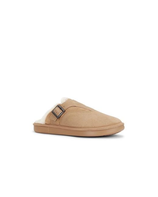Brunch Gray Amour Suede Shearling for men