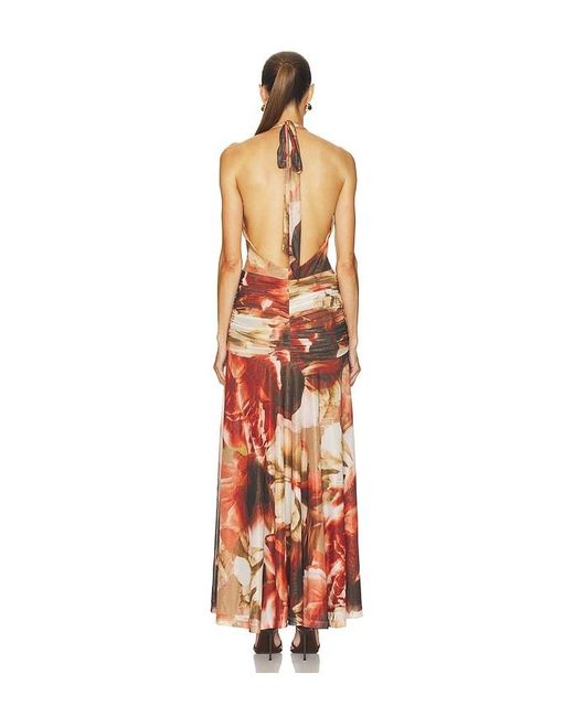 Bardot White Sariba Halter Mesh Midi Dress