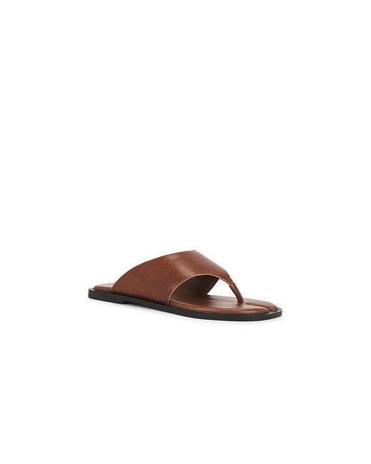 Steve Madden Brown Illia Sandal