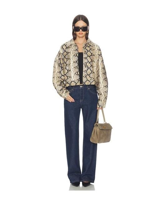 Lioness Blue Angel Jacket
