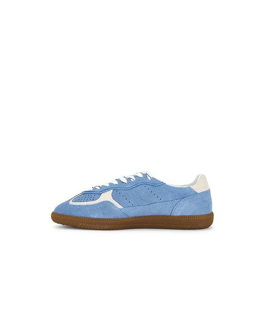 Alohas Blue Tb.490 Sneaker