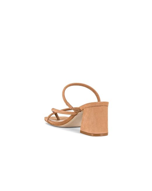 Steve Madden Effie Sandal in Natural | Lyst