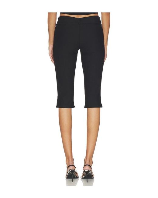 Tiger Mist Black Pilar Capri