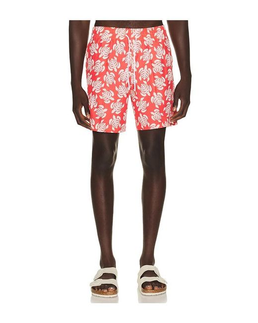 Trunks Surf & Swim Red Sano 6.5 Swim Short for men